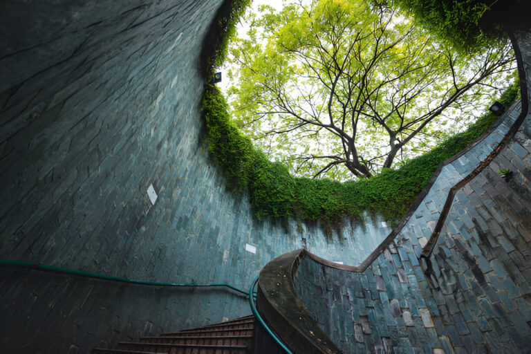 Top Unique Attractions in Singapore for Every Visitor